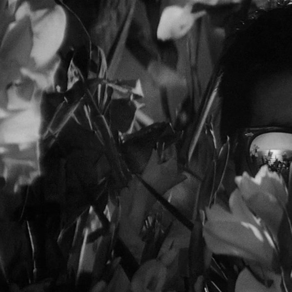 kurosawa 3