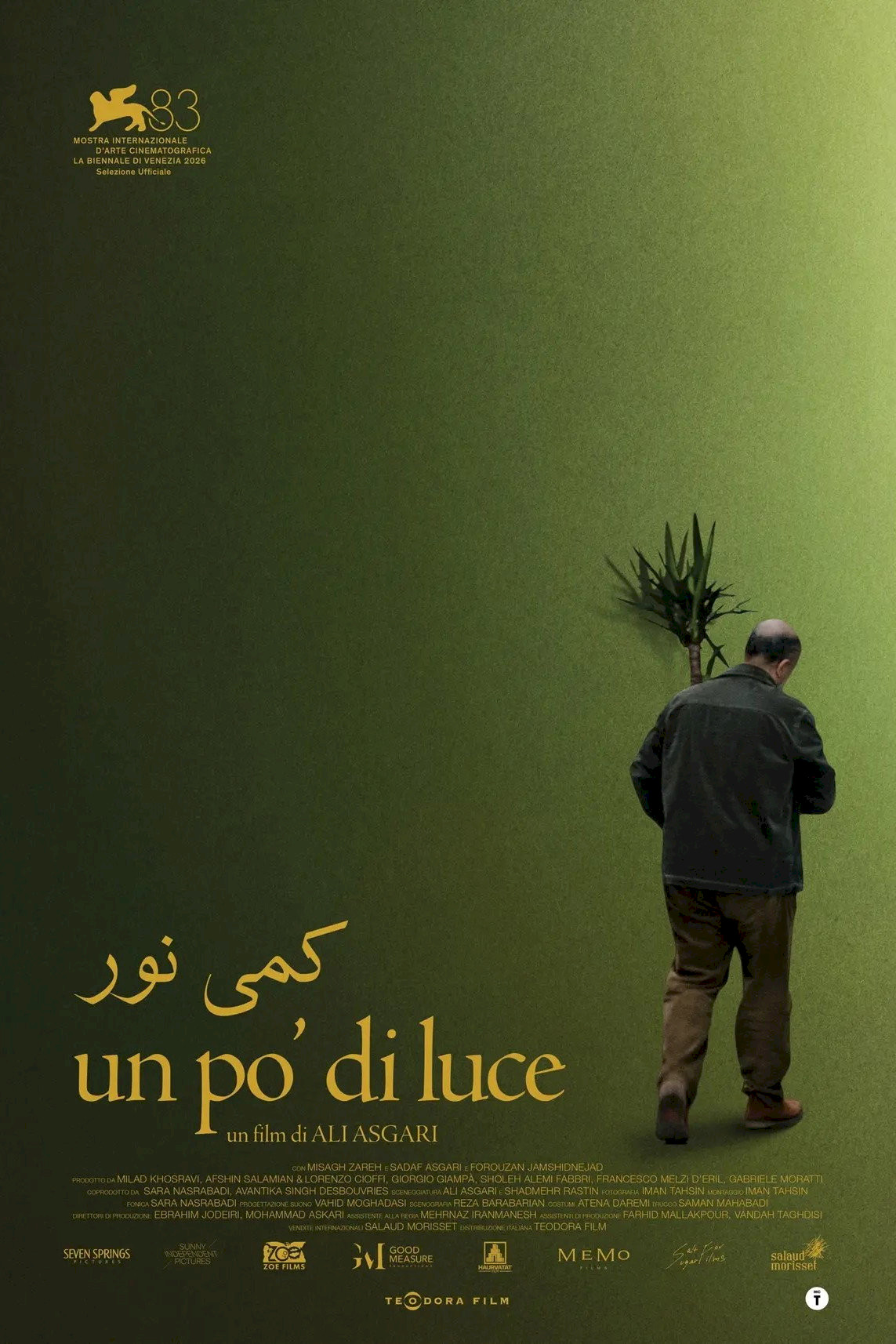 locandina Un po' di luce