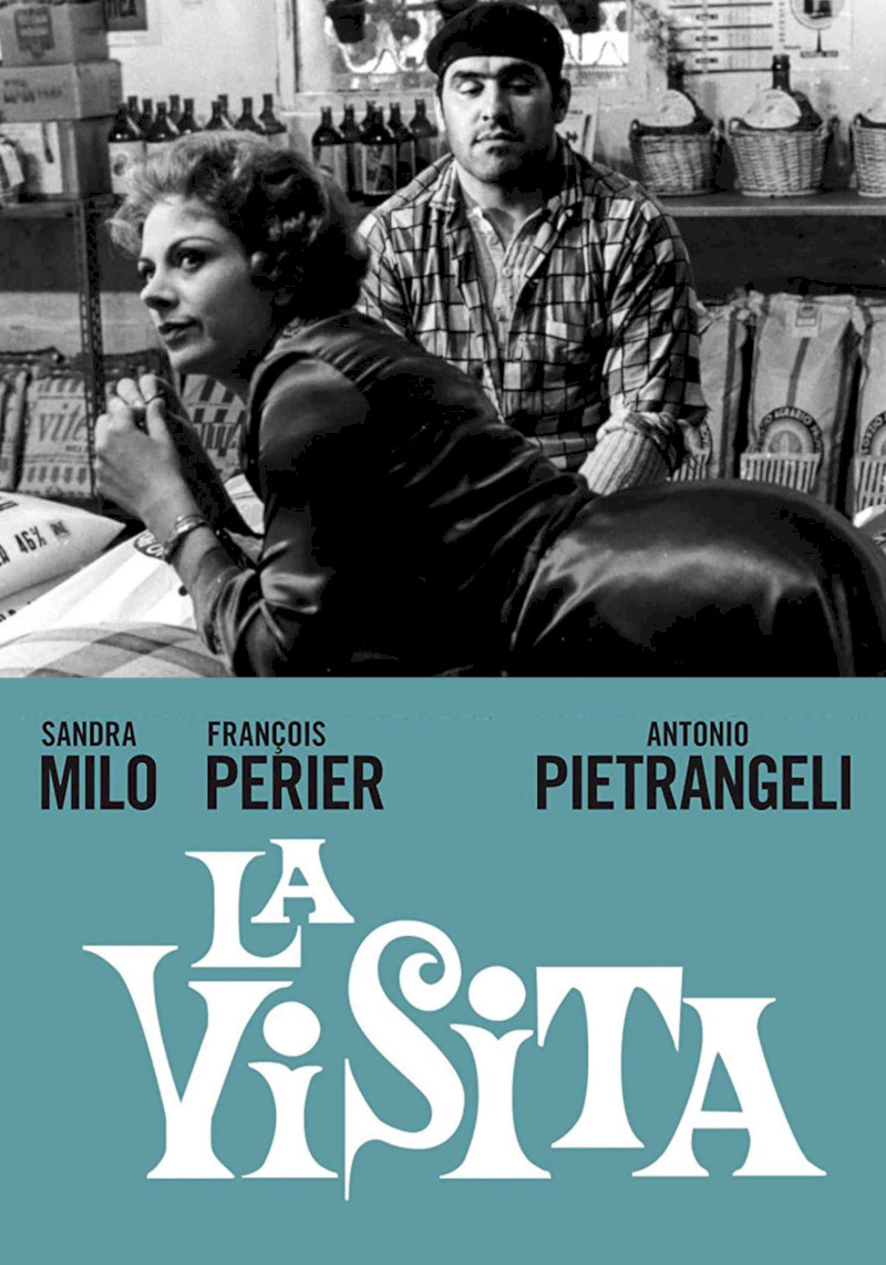 locandina La visita (the visit)